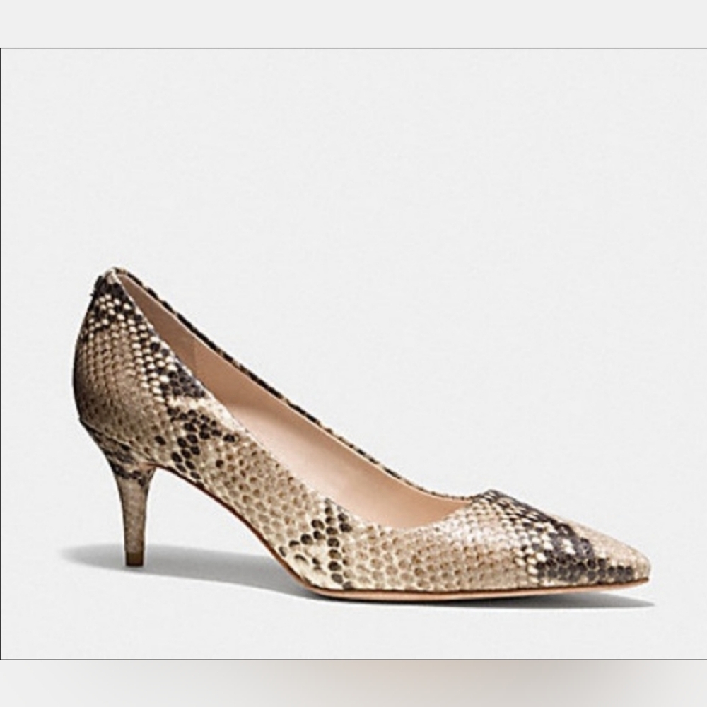 Coach Grand Classic Snake Roccia Women's Kitten Heel